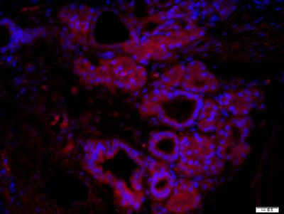 产品细节图片15