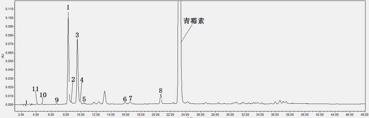 青霉素系统适用性对照品