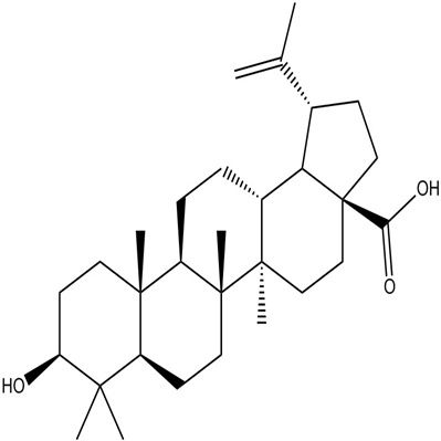 白桦脂酸472-15-1