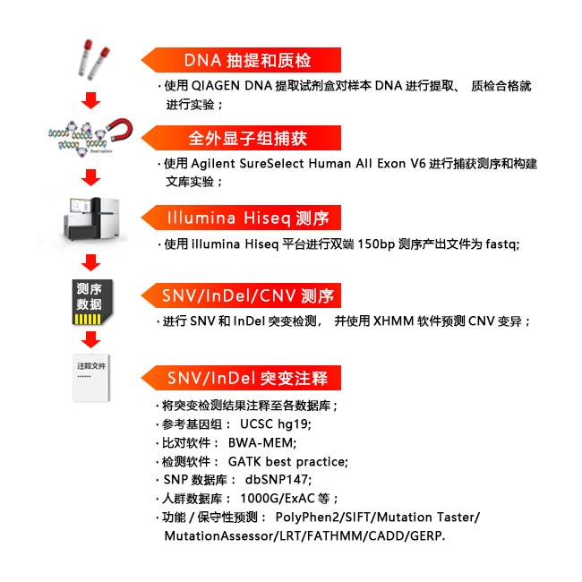 伯豪生物全外显子组测序服务流程