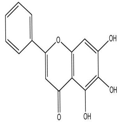 黄芩素491-67-8