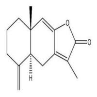 白术内酯I73069-13-3