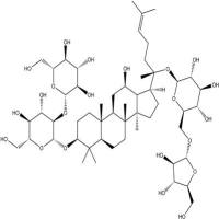 人参皂苷Rc11021-14-0