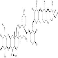 远志皂苷D66663-91-0