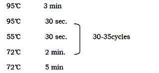 以λDNA为模板，扩增1kbp的DNA片段的PCR反应条件