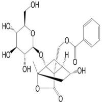 芍药内酯苷39011-90-0