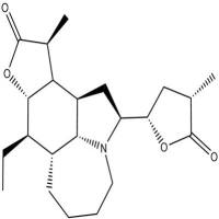 对叶百部碱6879-01-2
