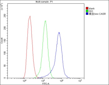 CASR Antibody (monoclonal, 11E