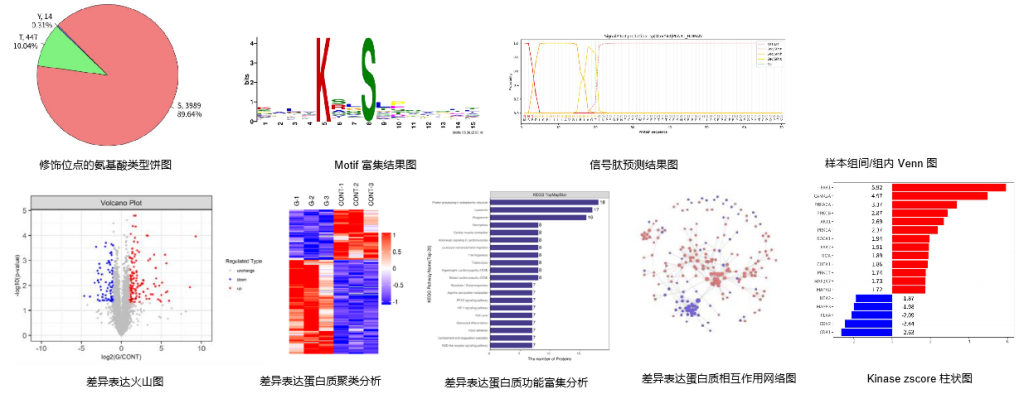 乳酸化蛋白质组