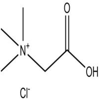 盐酸甜菜碱590-46-5