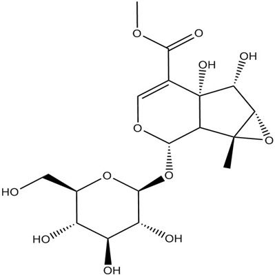 胡麻属苷117479-87-5