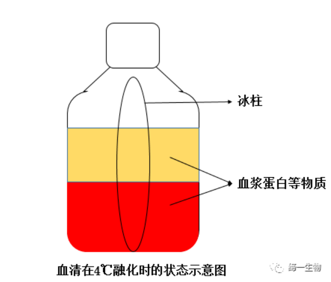 四个胎牛血清使用关键点，让细胞培养更顺利