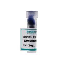 三色预染蛋白Marker（10-180KD）