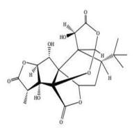 银杏内酯B15291-77-7