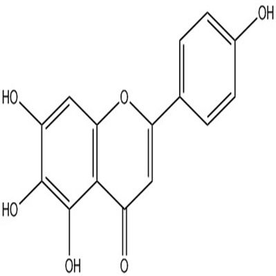 野黄芩素529-53-3