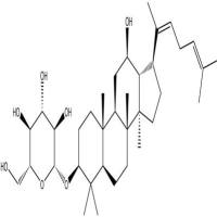 人参皂苷Rh3105558-26-7