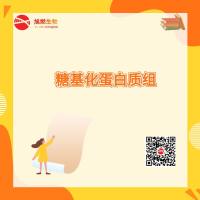 糖基化蛋白质组