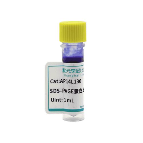 SDS-PAGE蛋白上样缓冲液（5X，无气味）