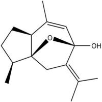 莪术烯醇19431-84-6