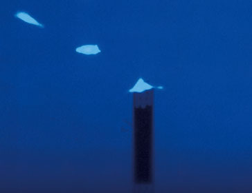 多功能单细胞显微操作系统-FluidFM OMNIUM