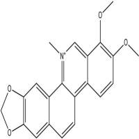 白屈菜红碱34316-15-9