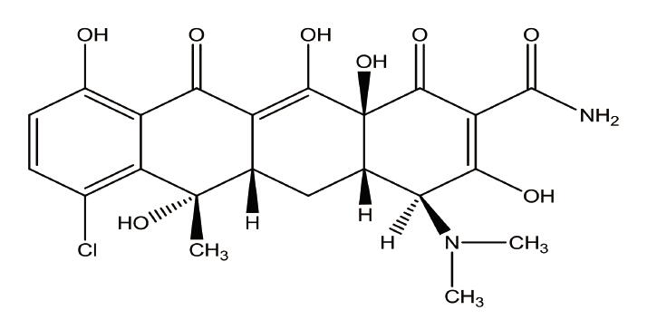 表儿茶素
