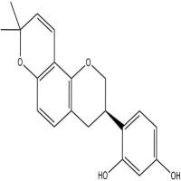 光甘草定59870-68-7