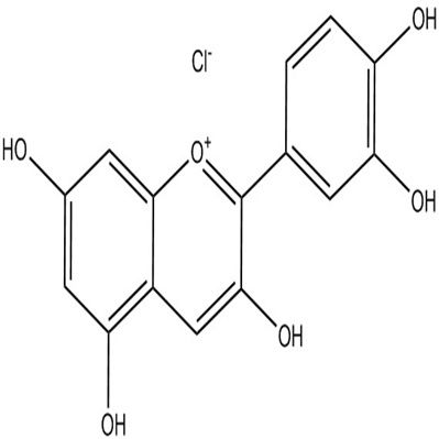 氯化矢车菊素528-58-5