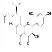 苦参醇I99119-69-4
