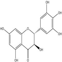 二氢杨梅素27200-12-0