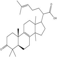 β-榄香酮酸28282-25-9