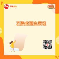 乙酰化蛋白质组