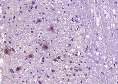 产品细节图片11