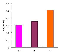 全能核酸酶实例3