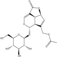车叶草苷14259-45-1