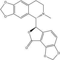 荷包牡丹碱485-49-4