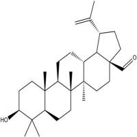白桦脂醛13159-28-9