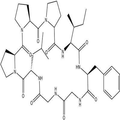 太子参环肽B145459-19-4