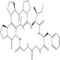 太子参环肽B145459-19-4