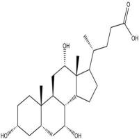 胆酸81-25-4