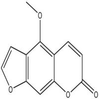 佛手柑内酯484-20-8