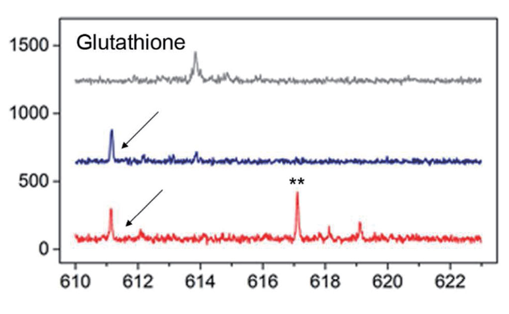 多功能单细胞显微操作系统-FluidFM OMNIUM