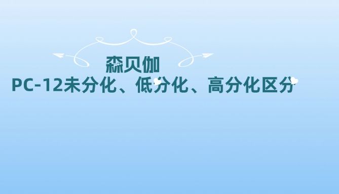 我不允许还有人分不清PC-12未分化、低分化、高分化