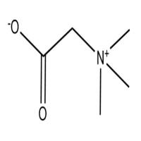 甜菜碱107-43-7