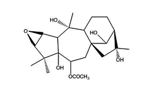异环磷酰胺化合物III