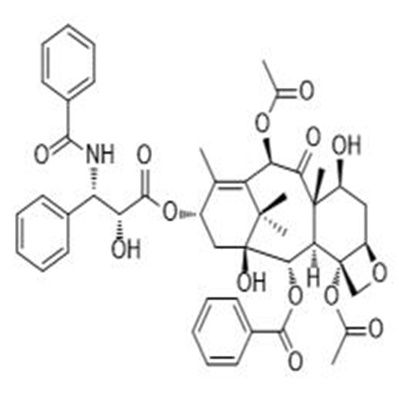 紫杉醇33069-62-4