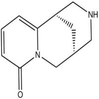 金雀花碱485-35-8