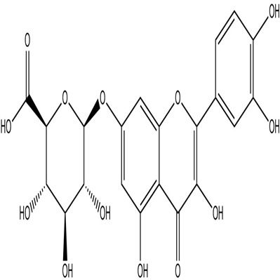 槲皮素7-O-葡萄糖醛酸苷38934-20-2