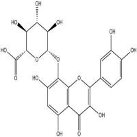 棉皮素-8-O-β-D-葡萄糖醛酸苷55366-56-8