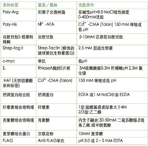 常用亲和标签及纯化方案